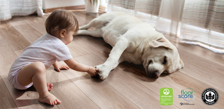 Luxury Vinyl Flooring in living room 2