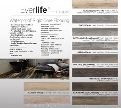 Everlife LVT Flyer