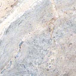 Silver Travertine Travertine Thumbnail